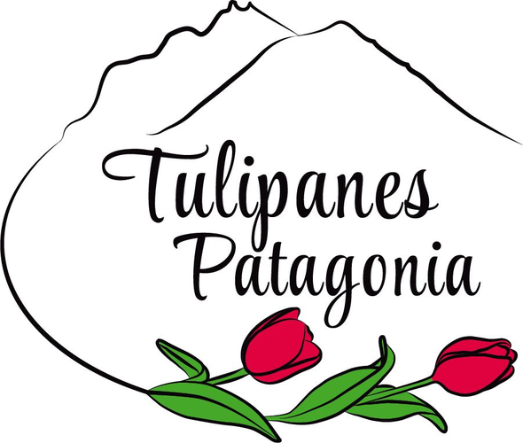 Tulipanes Patagonia